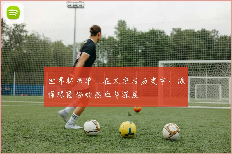 世界杯书单|在文学与历史中,读懂绿茵场的热血与深度