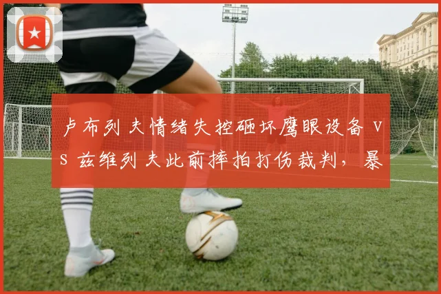 卢布列夫情绪失控砸坏鹰眼设备 vs 兹维列夫此前摔拍打伤裁判,暴力行为处罚标准历史对比